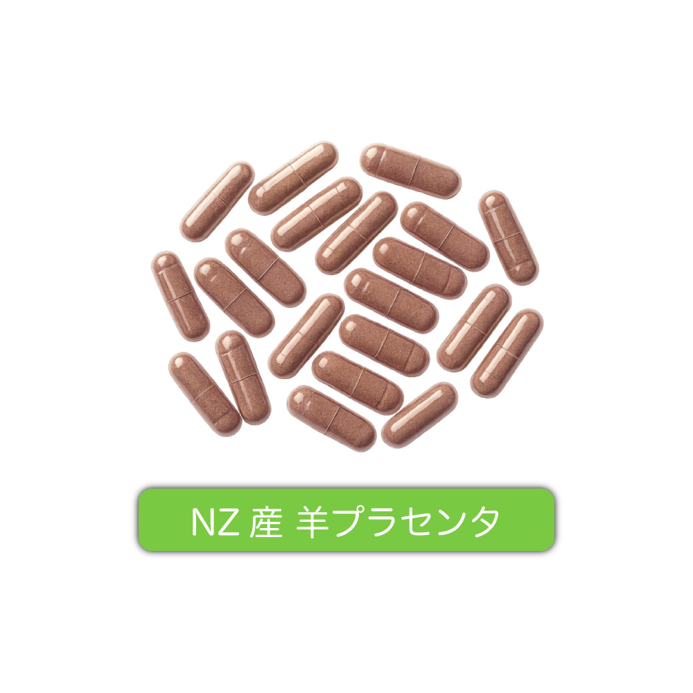 ヌージーランド産羊プラセンタ